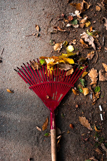 A group of purple plastic rubbish bags, tightly tied with pink ties, are stacked along the edge of a grassy area in a garden or park setting. The bags are glossy and appear filled with garden waste or general household refuse. They are placed on a well-maintained, slightly uneven grass surface, with some small patches of bare earth visible nearby. Behind the bags, there is a dense hedge of green foliage, consisting of various trees and shrubs, creating a lush backdrop. In the background, partially obscured by the trees, there are rooftops and parts of residential houses, suggesting a suburban environment. Bright natural daylight illuminates the scene, with shadows cast on the grass indicating a clear, sunny day. The scene appears to be part of an outdoor waste clearance effort, possibly undertaken by a private waste removal service such as Rubbish Removal Lambeth, supporting alternative waste handling outside of municipal collection. This image exemplifies the collection and temporary storage of garden or household waste awaiting disposal or collection.