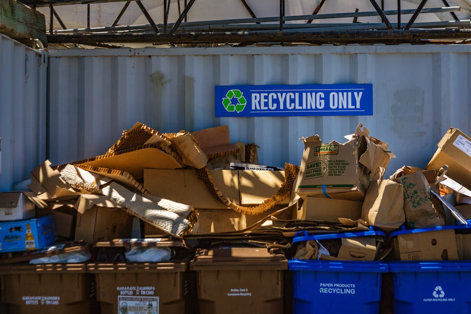 A collection of mixed cardboard boxes and paper-based waste materials stacked behind a blue recycling sign that reads 'RECYCLING ONLY' in white letters, mounted on a light grey shipping container wall. The cardboard includes flattened boxes, partially crushed, with some corrugated edges visible, displaying brown and tan hues with various textures from smooth to rough. Several paper bags and paper packaging are also present, some with printed logos and green accents, slightly crumpled and torn. The waste is arranged in blue and brown recycling bins, with some boxes stacked on top or leaning against each other, indicating on-site disposal or private collection. Overhead, a metal framework partially covers the scene, casting shadows on the waste and container wall. The environment appears to be an outdoor recycling or waste collection area, emphasizing the handling and sorting of waste materials designated for recycling, as would be typical for a rubbish removal service like Rubbish Removal Lambeth.
